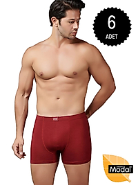 Gümüş İç Giyim 7009 Modal Elastan Boxer 6 lı Paket