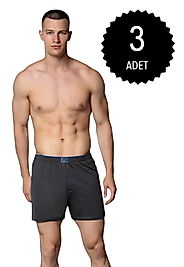 Gümüş 4020 Erkek Penye Havlu Bel Düz Boxer Füme 3 lü Paket
