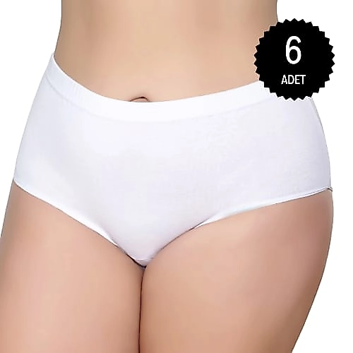 Gümüş 3040 Kadın Yüksek Bel Ribana Bato Külot Beyaz 6 lı Paket