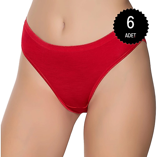 Gümüş 6045 Kadın Bambu İnce Bel Özel Dokulu Bikini Külot Karışık 6 lı Paket