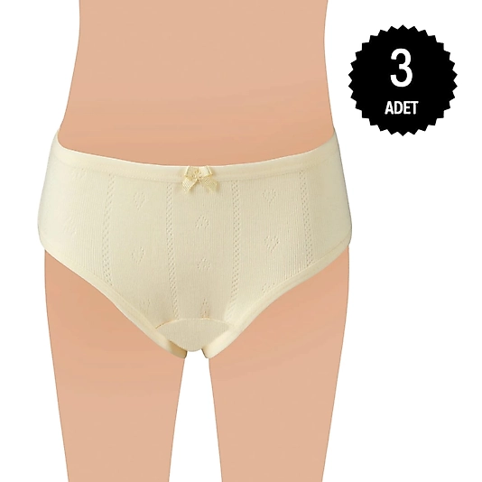 Gümüş 3078 Kız Çocuk Jakarlı Slip Külot Karışık 3 lü Paket