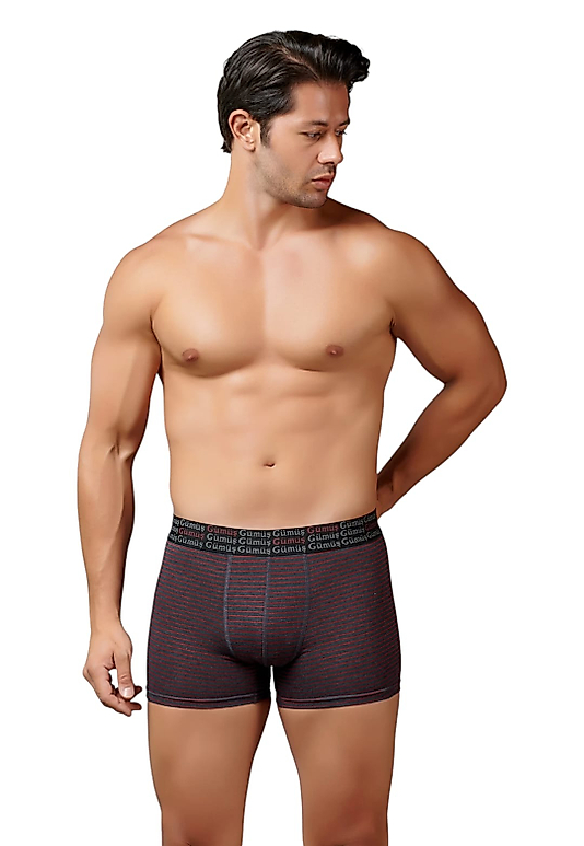 Gümüş 3114 Erkek Likralı Çizgili Boxer Antrasit