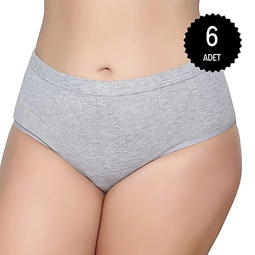 Gümüş 3041 Kadın Yüksek Bel Ribana Bato Külot Gri 6 lı Paket