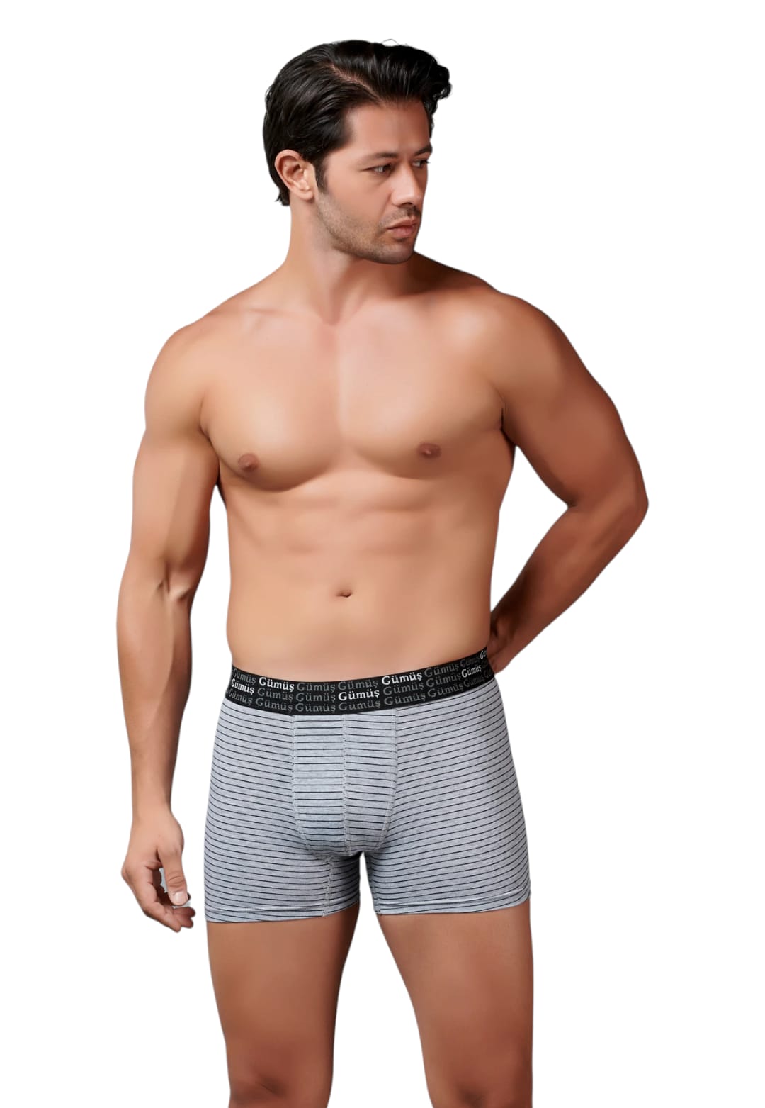 Gümüş 3114 Erkek Likralı Çizgili Boxer Gri