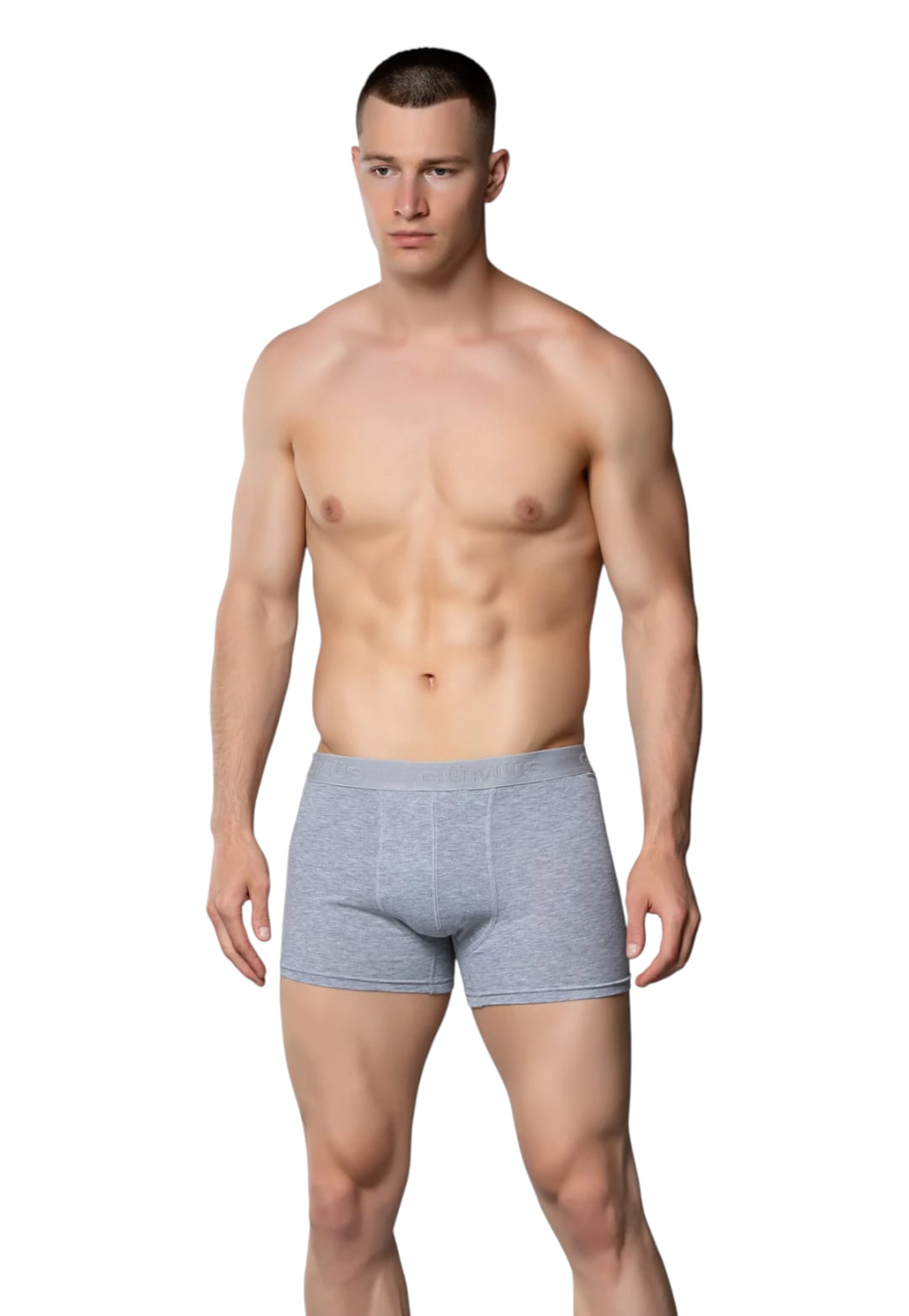 Gümüş 4018 Erkek Likralı Boxer Gri