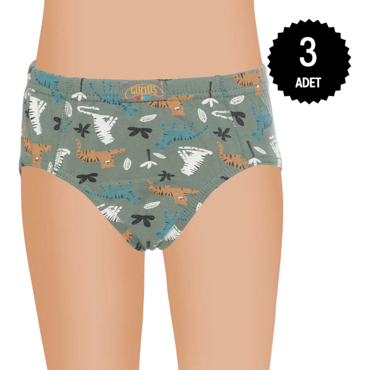 Gümüş 3090 Erkek Çocuk Likralı Empirme Slip Külot Karışık 3 lü Paket