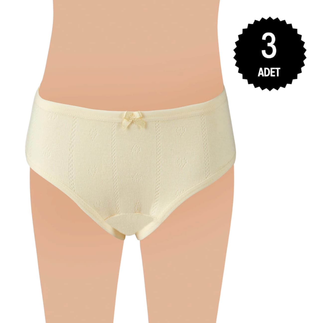 Gümüş 3078 Kız Çocuk Jakarlı Slip Külot Karışık 3 lü Paket